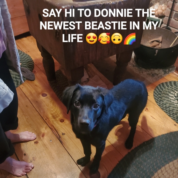 Mint Green Converse Hi Top CHUCKS all star kicks - Picture 8 of 8